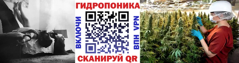 Альфа ПВП Эртиль
