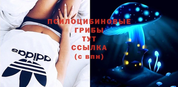 гашик Новокубанск