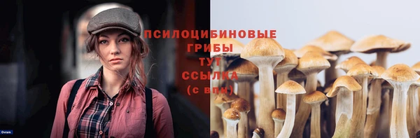 кокс Абаза