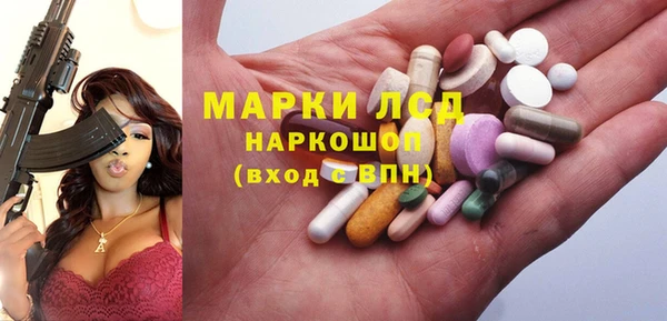 сатива Абинск