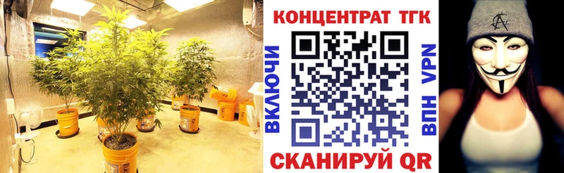 ТГК Wax дарнет шоп blacksprut ТОР Эртиль